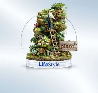 Plant it צמחים עד הבית