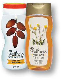 Life Wellness דבש טהור מפרחי בר/סילאן 100% טבעי בבקבוק לחיץ