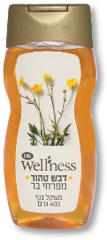 Life Wellness דבש טהור מפרחי בר בבקבוק לחיץ