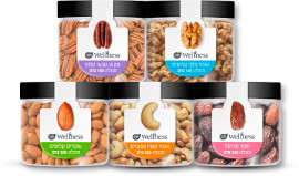 Life Wellness פירות יבשים