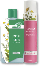 קמילוטרקט הסדרה הטיפולית