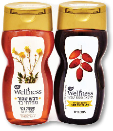 Life Wellness סילאן 100% טבעי 385 גרם + דבש טהור מפרחי בר 400 גרם