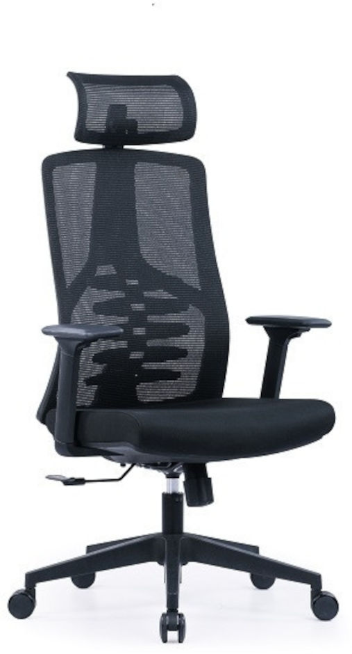 כסא ארגונומי לישיבה מפנקת סיט פלוס BIONIC