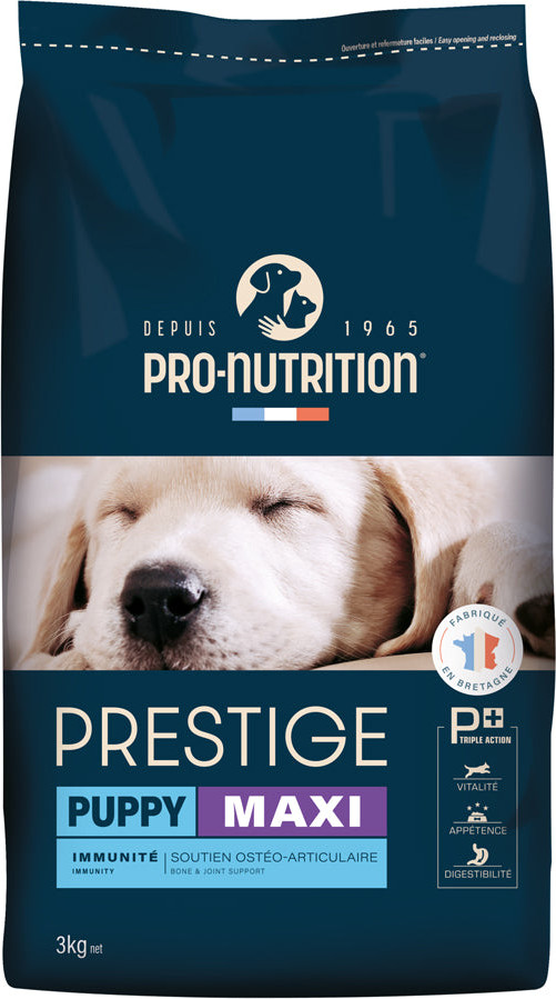 ‫Pro Nutrition - אוכל לכלבים גורים מגזע גדול | 3 קילוגרם | סופר-פארם‬ - Is Bonnie Blue Pregnant? Pet Owners Wonder About The Beloved Dog’s “Baby Bump”