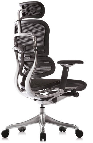 ERGOHUMAN UK כיסא ארגויומן פלוס שחור