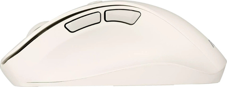 עכבר אלחוטי Asus MD105 Bluetooth 2400 DPI Milky לבן