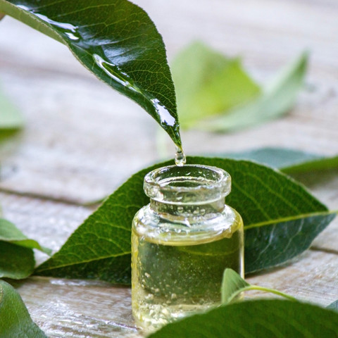 פילינג עץ התה לכף רגל 250 מ"ל Tea tree peeling