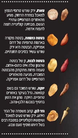 חטיף על בסיס ירקות שורש בטעם טבעי