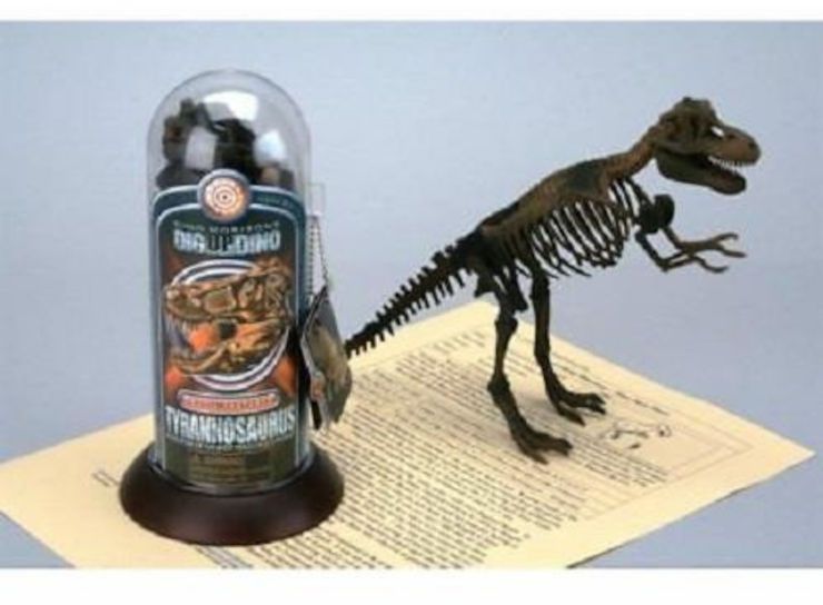 דגם תלת מימד דינוזאור Velociraptor שלד מאובן