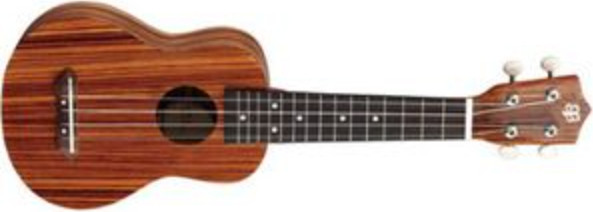 יוקללה Budagov Soprano Zebra-D