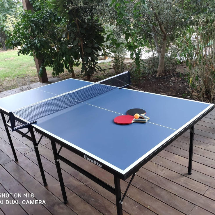 שולחן טניס BIG FUN IN