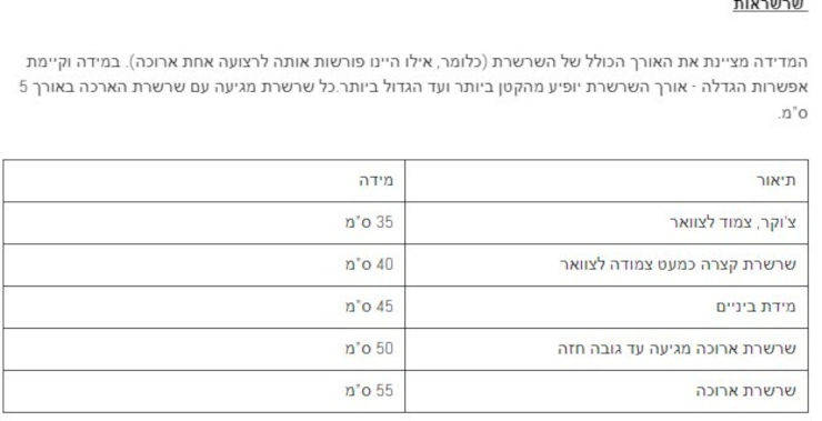 שרשרת תליון זהב משושה נפתח (עם מקום לתמונה) משובץ זרקונים - סמנתה (בקופסת מתנה מהודרת)
