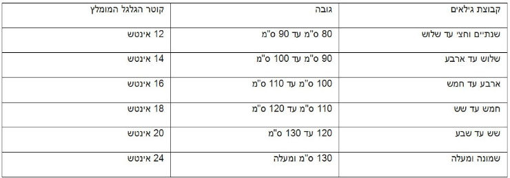 אופניים לילדים ביג בייק 16 אינץ' עם גלגלי עזר