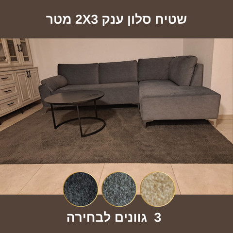 שטיח סלון ענק במגוון צבעים