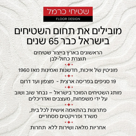 שטיח בלגי בעיצוב חלק עם מראה אלגנטי - דגם מאוריציוס 1 במידה 340*240 ס"מ