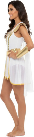 תחפושת לוחמת על לבנה-זהב (She-Ra Style)