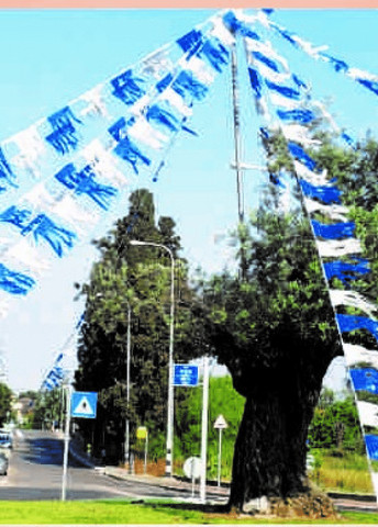 שרשרת פרנזים כחול לבן-25 מטר