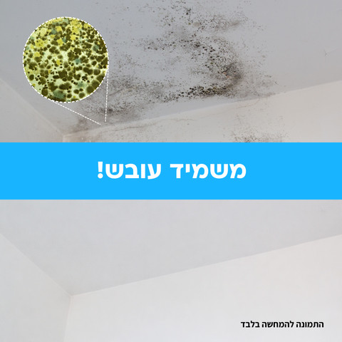 זוג מסיר ומונע עובש 650 מ"ל HG