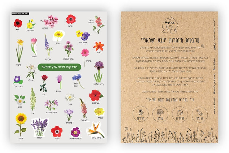 לוח תכנון שבועי מעוצב מגנטי + טוש מחיק