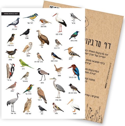 מארז מדבקות לילדים - טבע ובעלי חיים