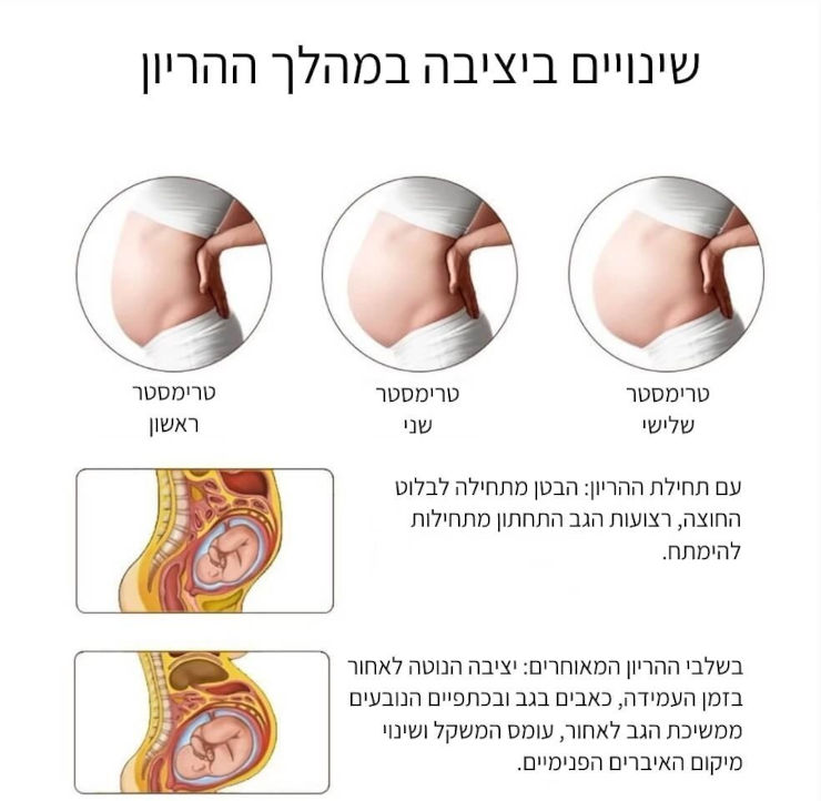 חגורת הריון לתמיכת גב ובטן - XXL