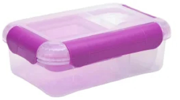 קופסת אוכל ורוד מחולקת 1.6 ליטר