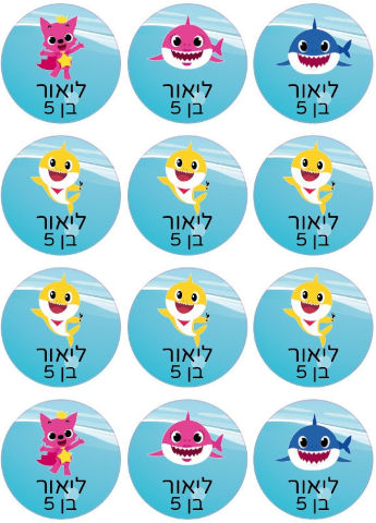 סט מדבקות יומולדת 48 מדבקות עם שם וגיל הילד/ה