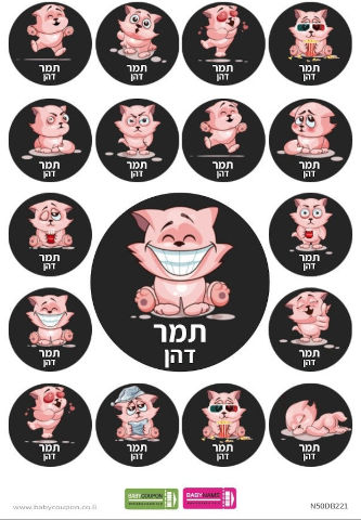 מדבקות עם שם אישי (17 מדבקות)
