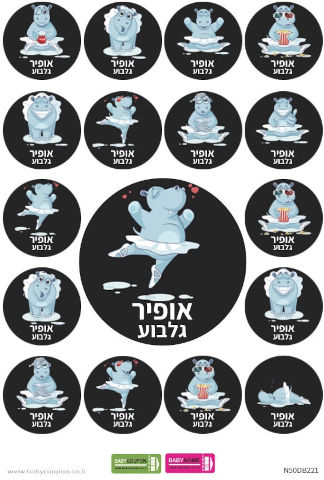 מדבקות עם שם אישי (17 מדבקות)