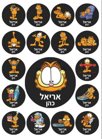 מדבקות גיהוץ עם שם אישי (17 מדבקות)