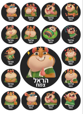 מדבקות גיהוץ עם שם אישי (17 מדבקות)