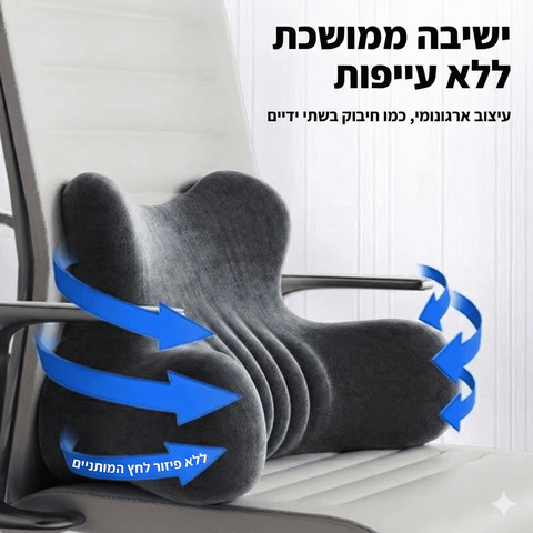 כרית גב אורטופדית ויסקו – HugMe