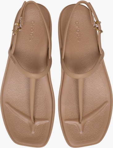 Miami Thong Sandal Crocs - סנדלי אצבע קרוקס לנשים בצבע שוקולד חלב