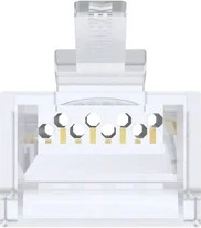 מחבר רשת RJ45 CAT UNITEK קופסא 100 יח'