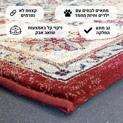 שטיח מהודר עם נוכחות מודרנית ועיטורים קלאסיים – דגם קולורדו 05