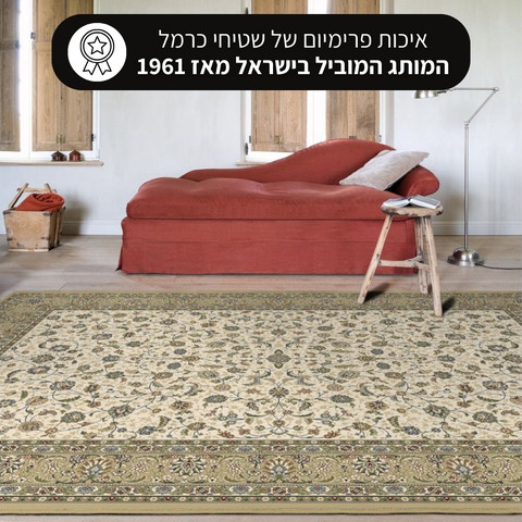 שטיח מהודר עם נוכחות קלאסית-מודרנית - דגם קולורדו 11