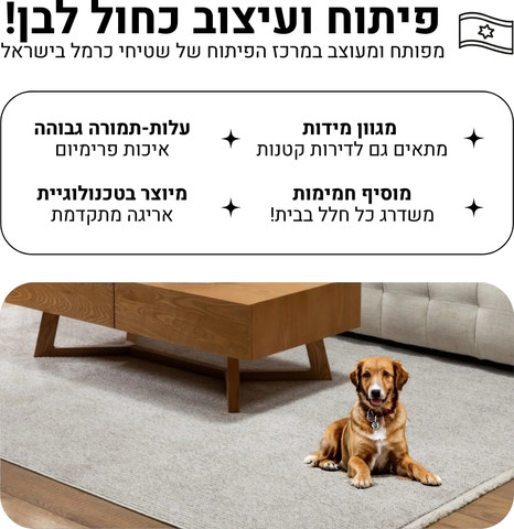 שטיח מודרני עם פרנזים בעיצוב אחיד – דגם סקאי 03 בצבע בז'