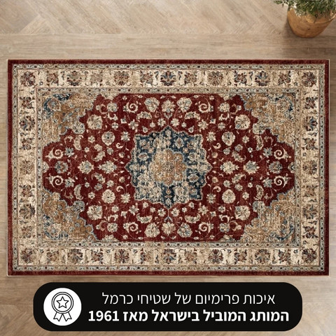 שטיח מהודר עם נוכחות מודרנית ועיטורים קלאסיים – דגם קולורדו 05