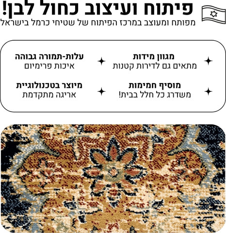 שטיח מהודר עם נוכחות מודרנית ועיטורים קלאסיים – דגם קולורדו 05