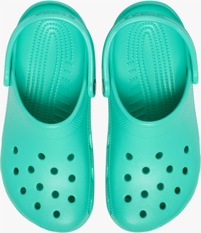 Crocs Classic - כפכפי קרוקס יוניסקס קלאסים בצבע ירוק לגונה