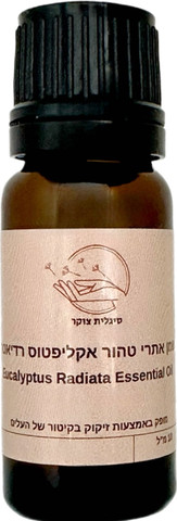 Eucalyptus Radiata Essential oil | שמן אתרי טהור אקליפטוס רדיאטה