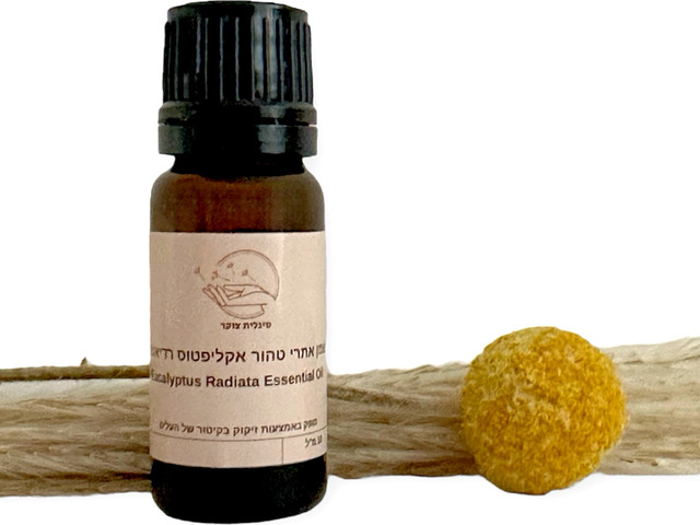 Eucalyptus Radiata Essential oil | שמן אתרי טהור אקליפטוס רדיאטה