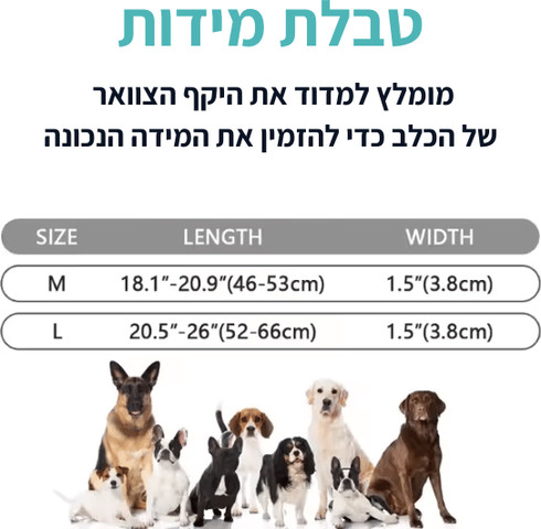 קולר לכלבים עם חיבור אייר טאג M גדולים ובינוניים ניילון וחיבור לרצועה לכלב