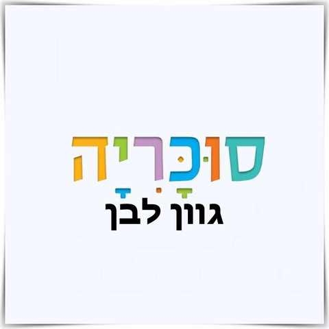 ארון רוחב 80 דגם איתן צבע יוטה