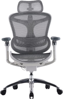 כסא מנהלים SIHOO Doro-C300 Pro Light Gray