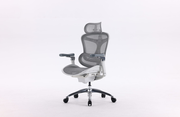 כסא מנהלים SIHOO Doro-C300 Pro Light Gray