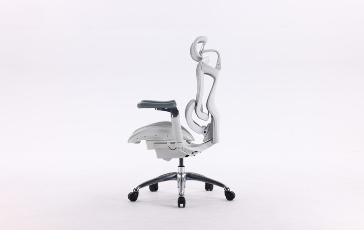 כסא מנהלים SIHOO Doro-C300 Pro Light Gray