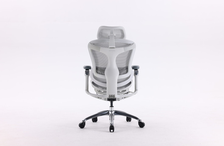 כסא מנהלים SIHOO Doro-C300 Pro Light Gray