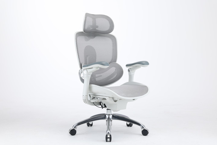 כסא מנהלים SIHOO Doro-C300 PRO V2 Light Gray