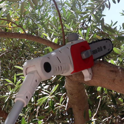 משור ומגזמת גובה 20V כולל סוללה 20V/2.0Ah ומטען מהיר